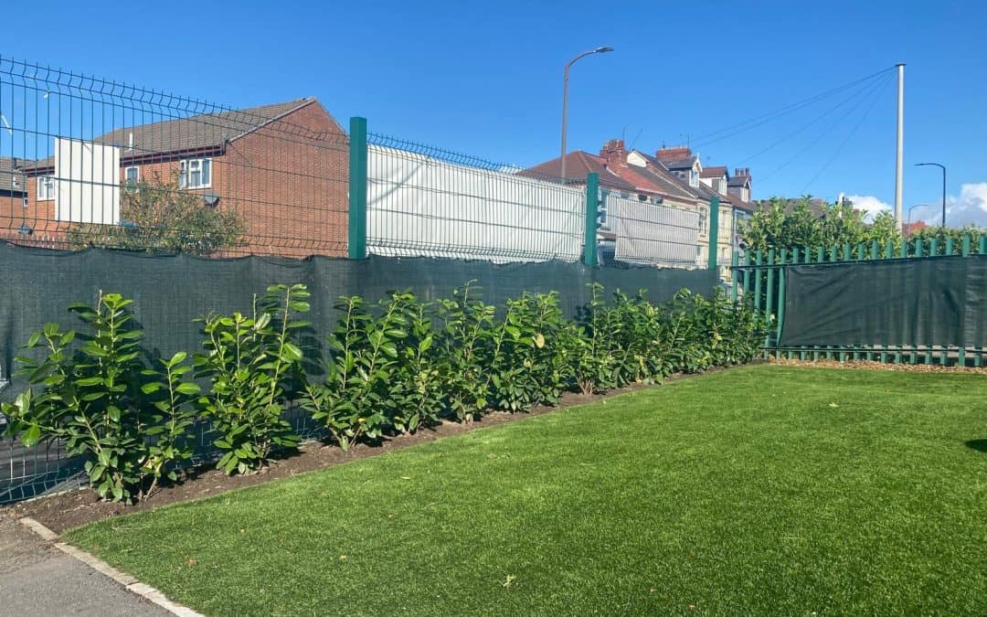 🌱 Community in Action at St Joseph’s School 🌱